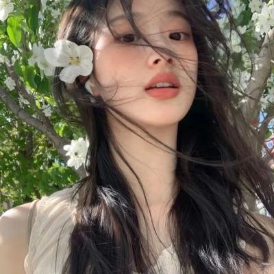 不死鸟之恋